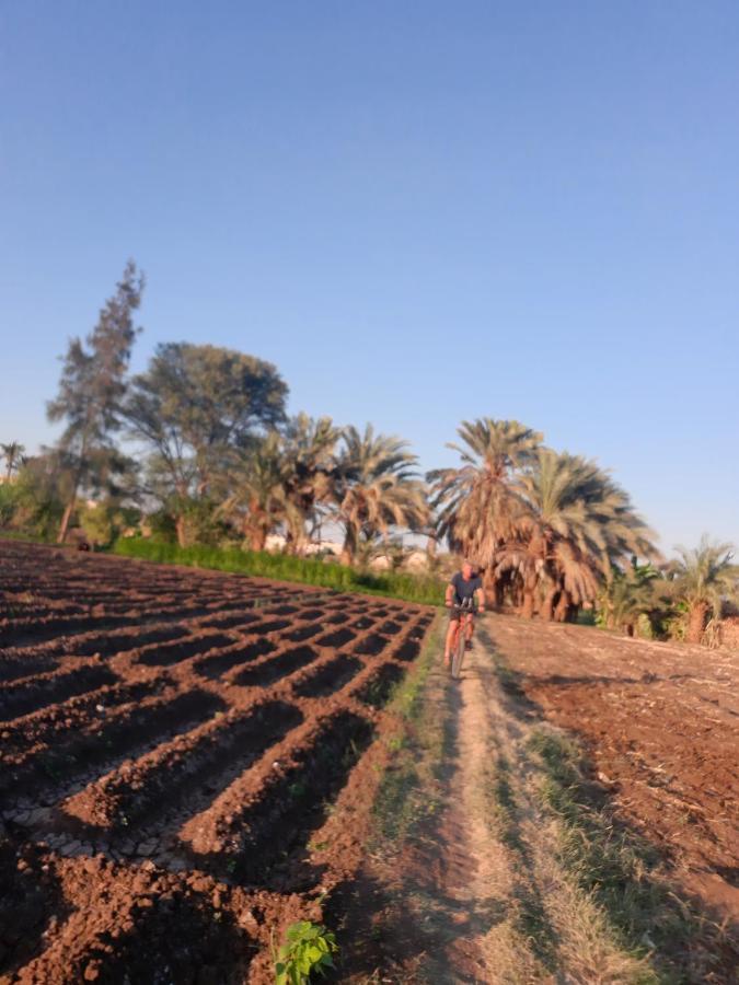 المنيا Village Room In The Countryside المظهر الخارجي الصورة